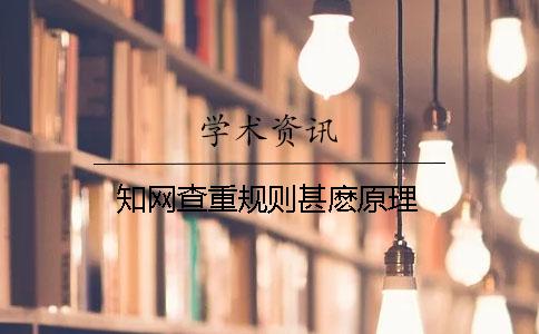 知网查重规则甚麽原理