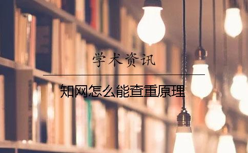 知网怎么能查重原理
