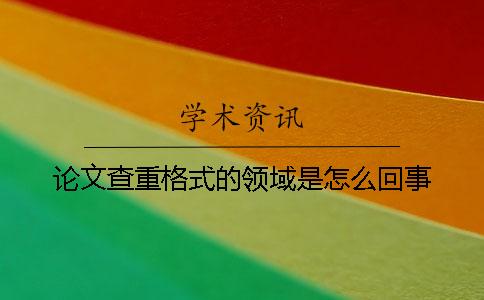 论文查重格式的领域是怎么回事？