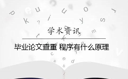 毕业论文查重 程序有什么原理