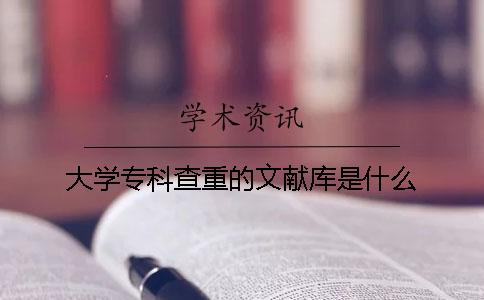 大学专科查重的文献库是什么