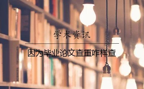 因为毕业论文查重咋样查