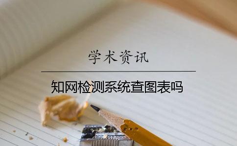 知网检测系统查图表吗